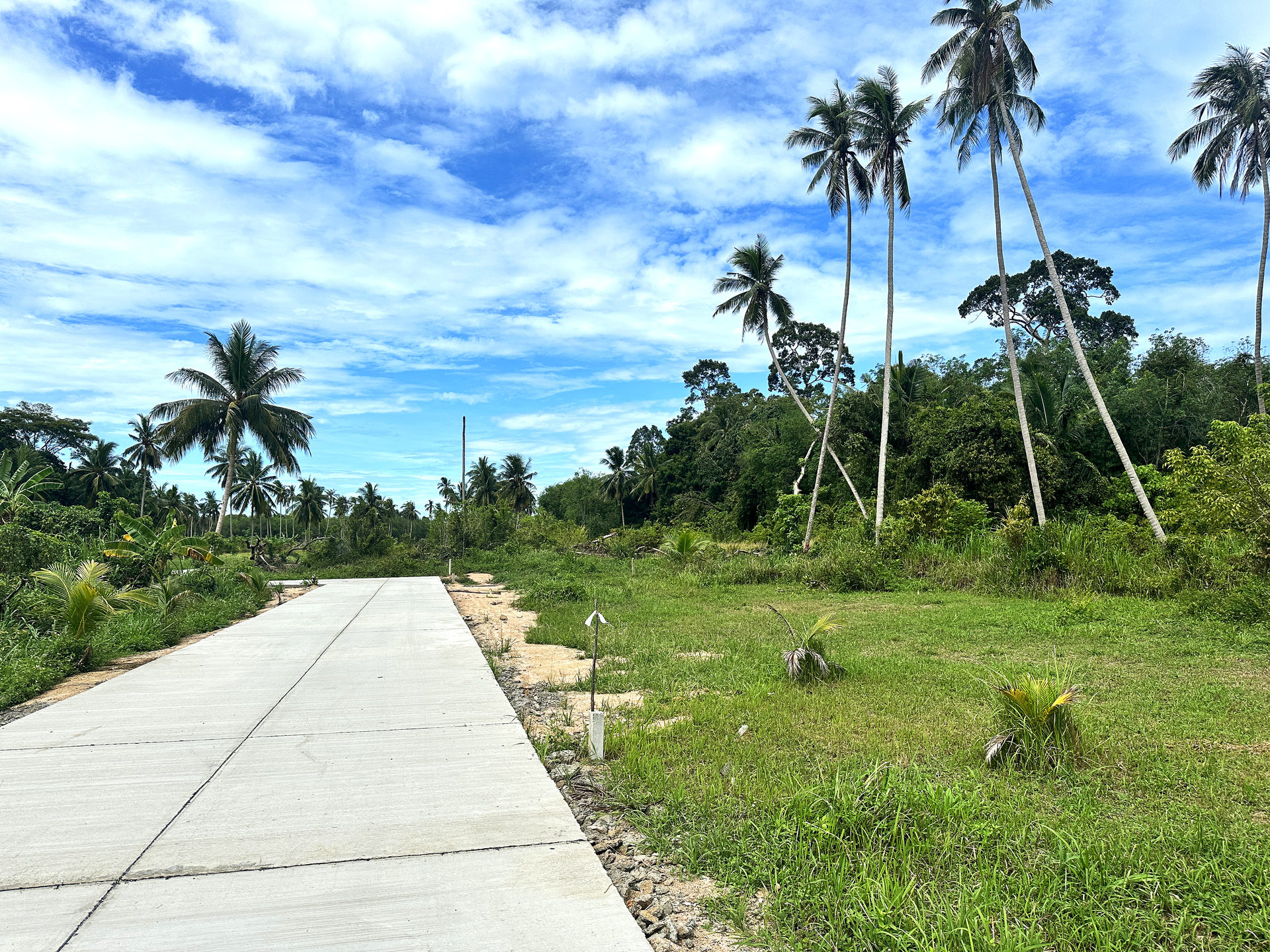Land Plot 0001 | Small plots, new road